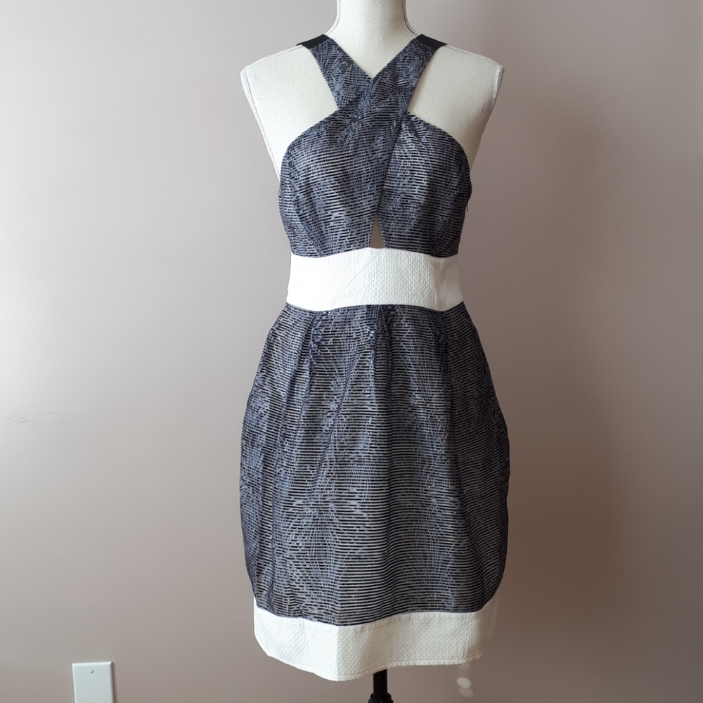 Buffalo David Bitton dress